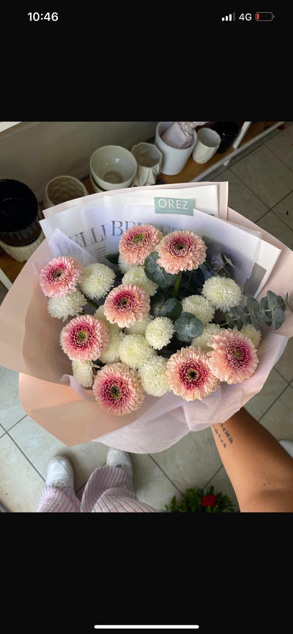 Gerbera Pompón, Arcadia y Follaje